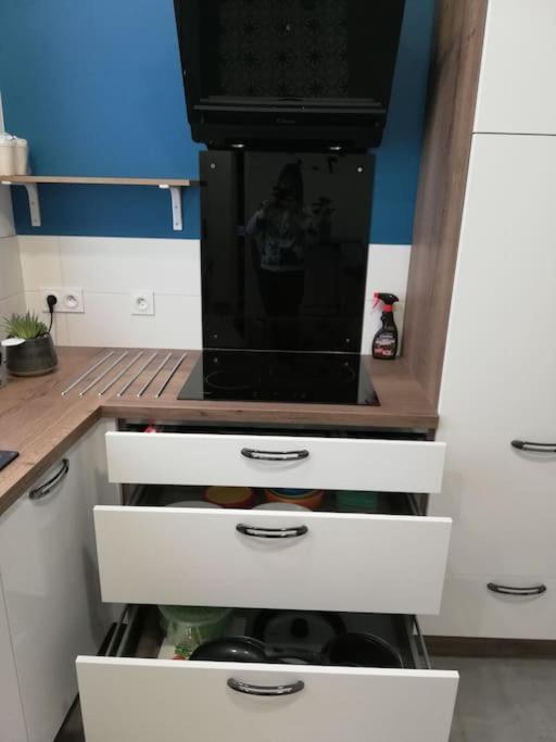 Bel Appartement Coeur De Grenoble Tout Equipe Extérieur photo